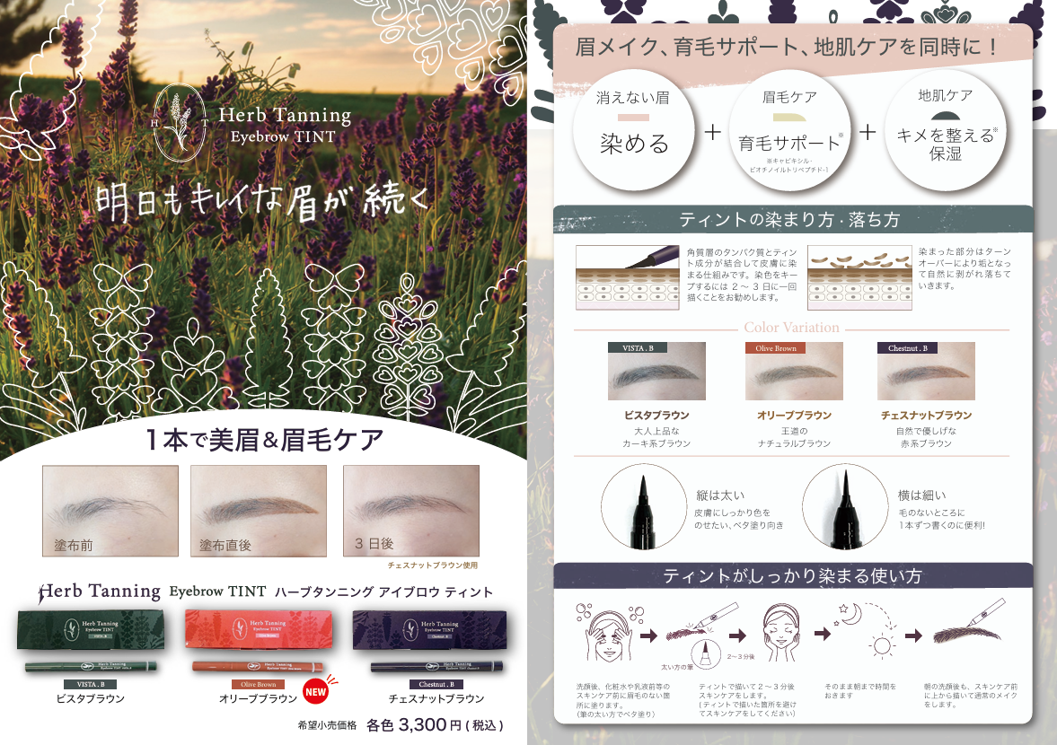 【Herb Tanning Eyebrow】（リニューアル）ハーブタンニング アイブロウ ティント　ラミネートPOP（A4サイズ）※会員様無料