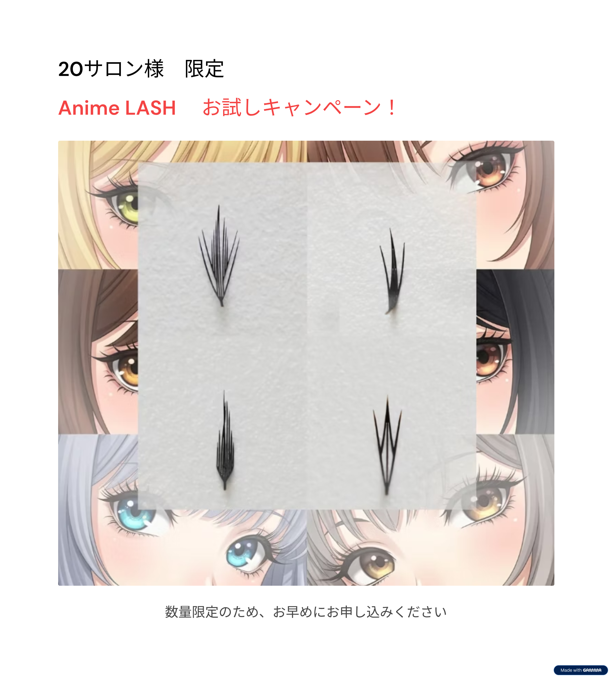 20％OFF！！！20サロン様限定お試しキャンペーン【HoneyLASH】Anime Lashes アニメラッシュ
